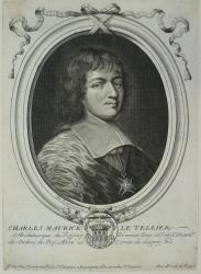 Afbeelding 1 van 1